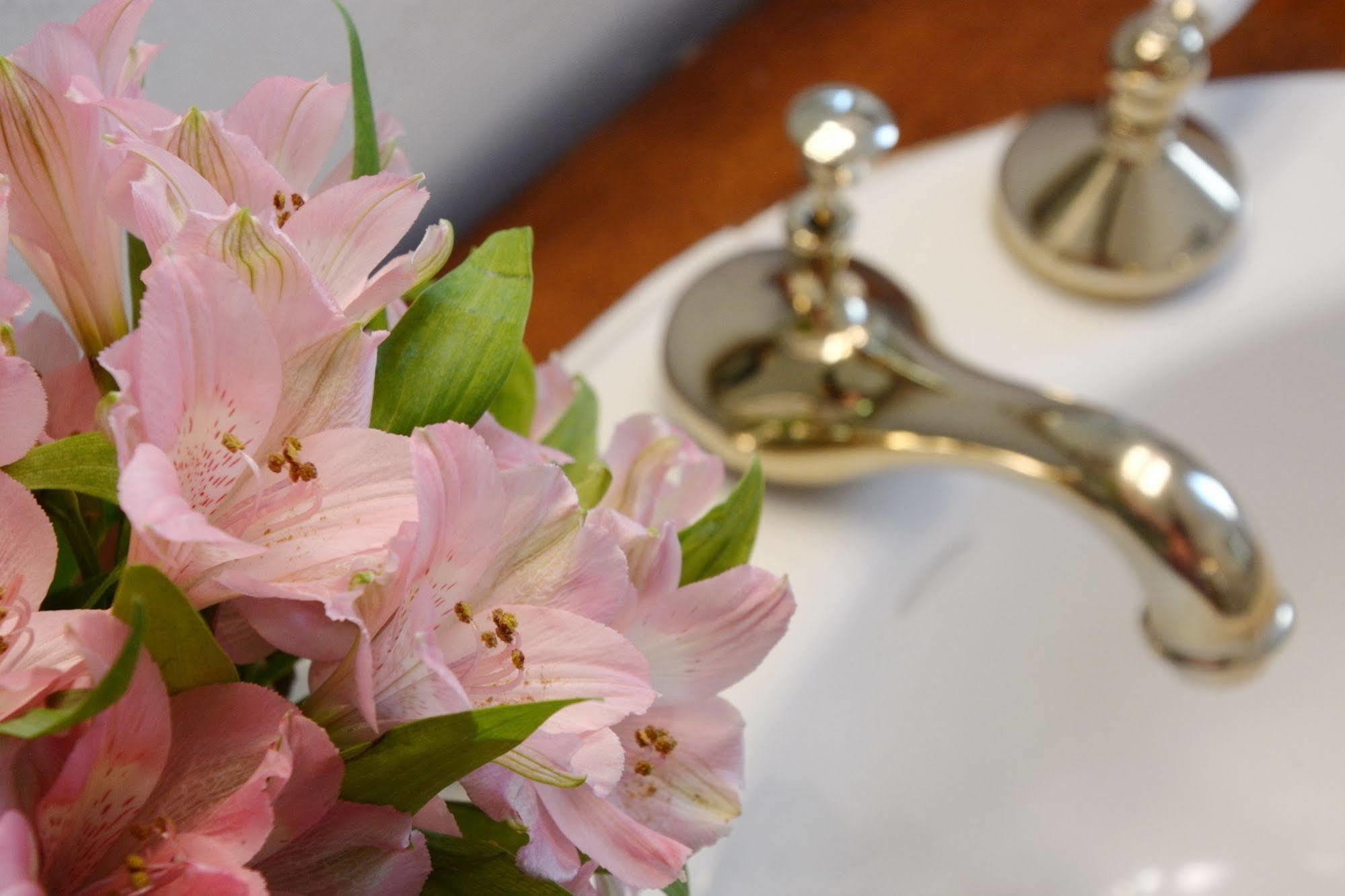 Capitol Hill Mansion B&B Inn Denveri nemzetközi repülőtér Kültér fotó